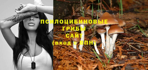 spice Балахна
