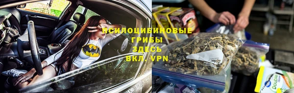 spice Балахна